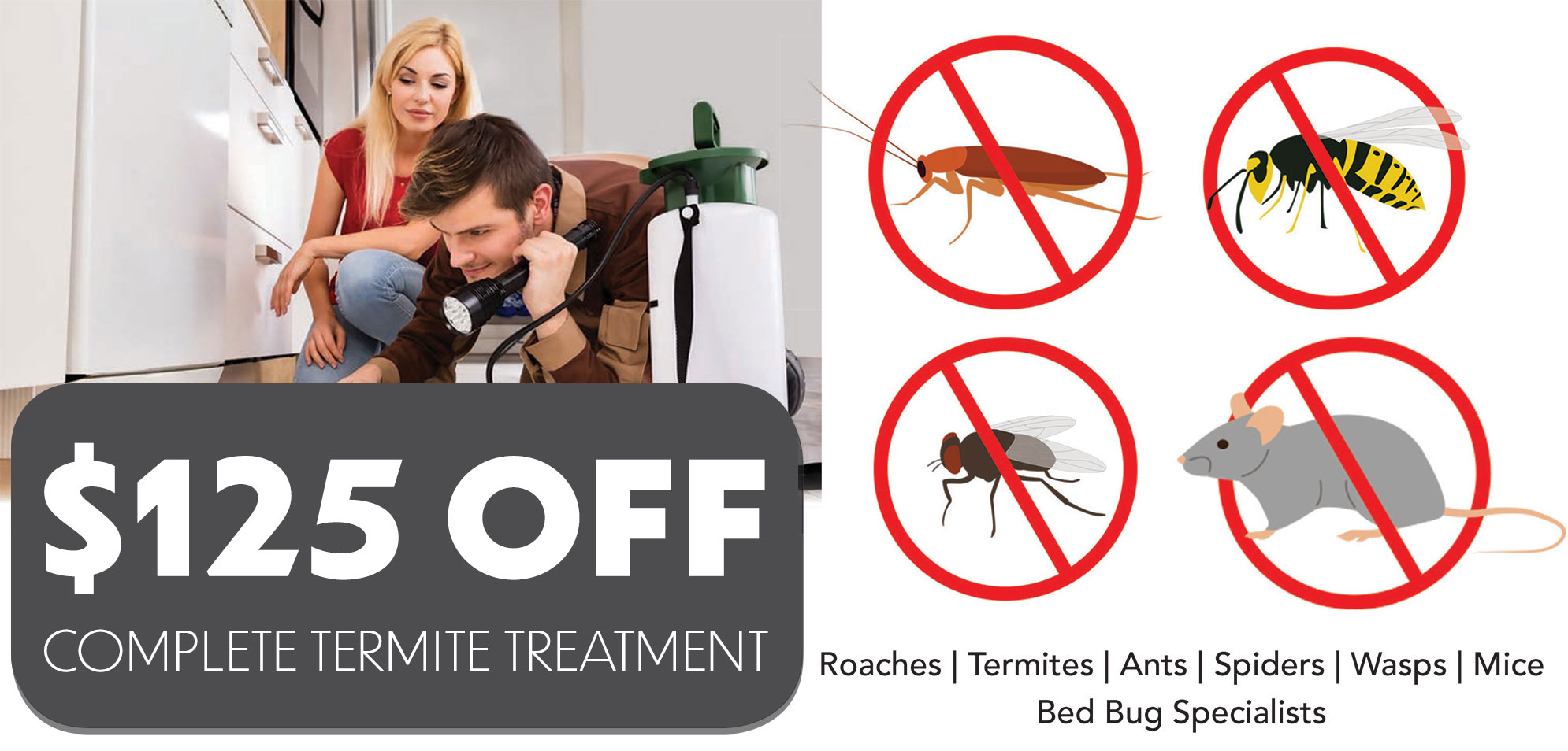 $125 OFF Termite Treatment